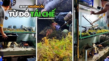 Dọn dẹp và thiết kế chuồng ốc Mượn Hồn từ những đồ vật tái chế - hermitcrab #ocmuonhonthanhxuan