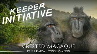 🐒 KEEPER INITIATIVE : Episode 1 - Macaque à Crête