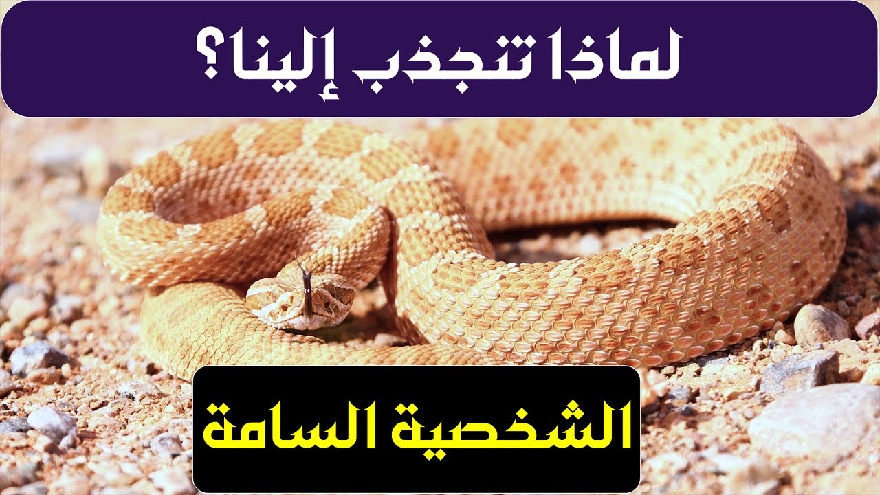 اسباب انجذاب الشخصيات السامة الينا