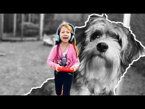 Video: Hvorfor spiser min hund ikke, når jeg er væk?