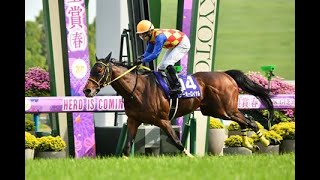 Melbourne Cup 2024 | The Internationals (April Edition). T O ROYAL'S TENNO SHO WAS OUTSTANDING!