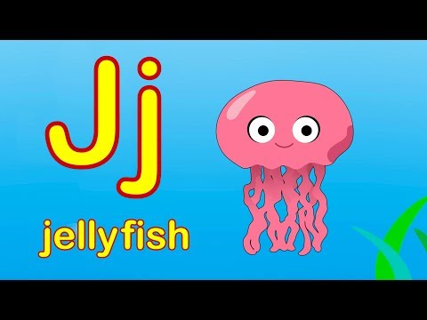 Animal Phonics Song