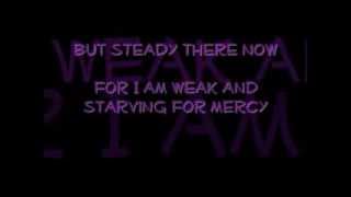 Stupid - Sara McLachLan (lyrics)