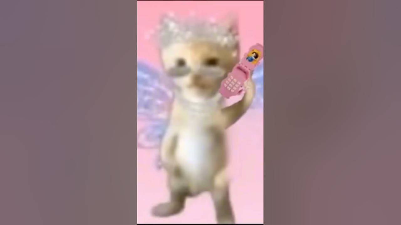 ayayay I'ma little butterfly