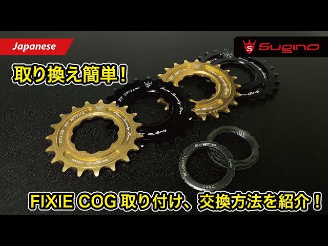 取り換え簡単！】FIXIE 取り付け、交換方法を紹介！ - YouTube