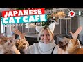The Best Cat Cafe in Tokyo?!