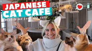 This Cat Cafe in Tokyo has the CUTEST cats and I got to feed them!