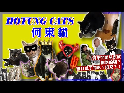 【Ep.4 中英文字幕】HOTUNG CATS｜何東貓