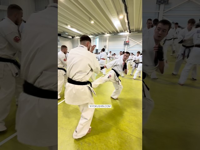 Baltic Fighting Camp 2026 #kyokushin #shinkyokushin #karate #1kyokushin #一極真 #極真会館