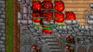 Rookgaard: Rookguardian de'Bove (+ team) vs Dragon Lord (Test Server)