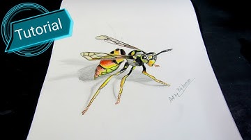 How To Draw A 3d Wasp😱 || Tutorial Video|| #3d #artsroom #art
