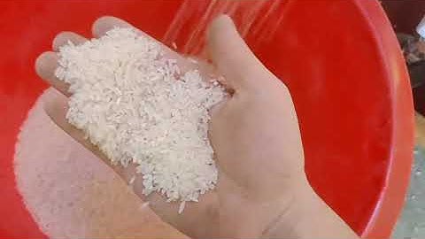 M32 Rice color sorter