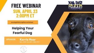 Helping Your Fearful Dog  4-23-23 by YourDogsFriend 1,045 views 11 months ago 2 hours, 16 minutes