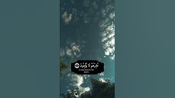 مشاري العفاسي من سورة البقرة #قرآن #حالات #اسلام