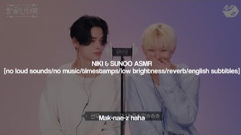 ★ [팅글인터뷰/TINGLE INTERVIEW] ASMR로 듣는 엔하이픈 니키[ENHYPEN 니키 & 선우 편/NIKI & SUNOO EDITION] [clean/reverb]