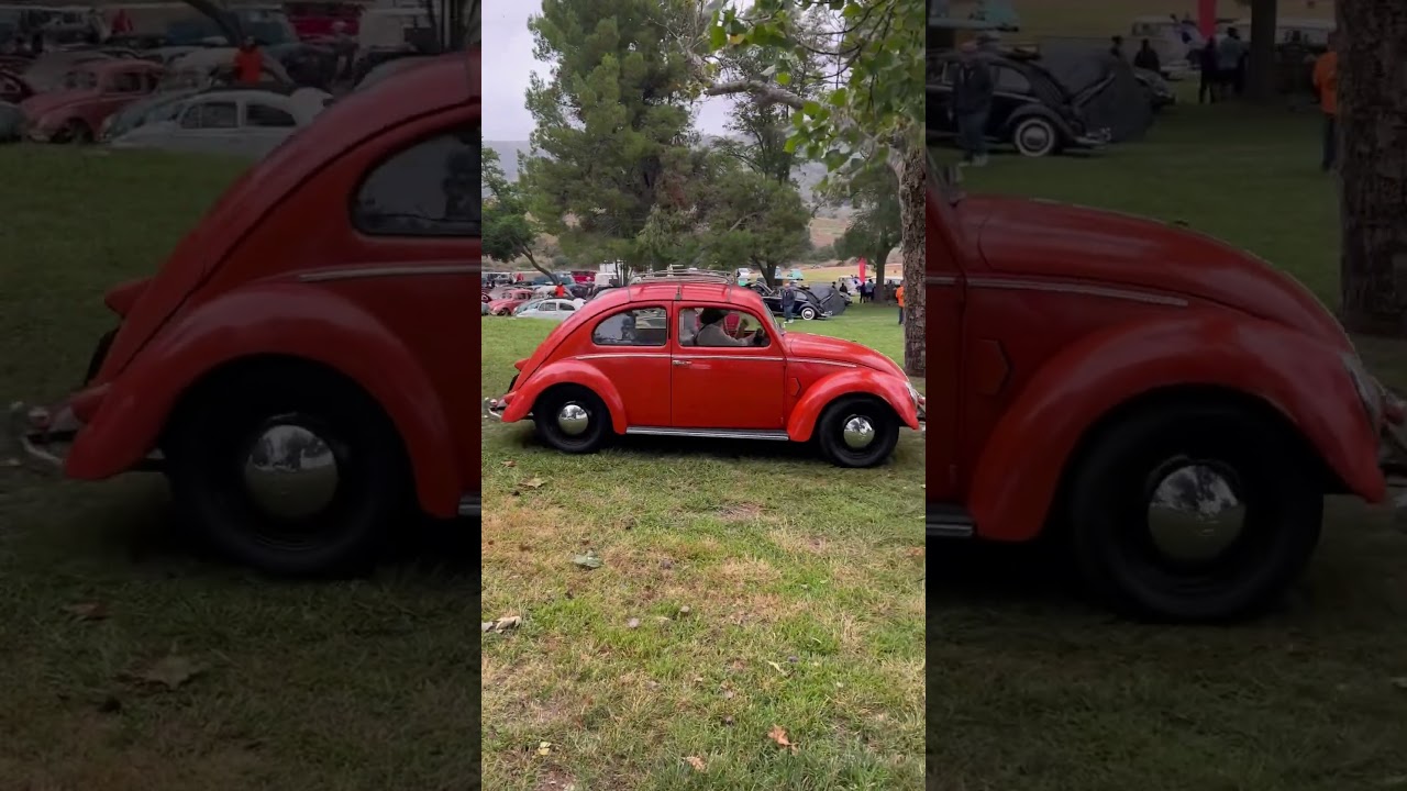 VW SPLIT WINDOW BUG VW treffen 2023 