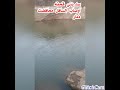 اجمل منظر لسد مقشابه بني سواده وصاب السافل محافظه ذمار الابيه