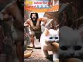 bimar #Bandar# ki dost #cat#cartoon #YouTube shorts #video# viral@