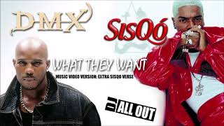 DMX ft Sisqo - What They Want (Video Version by DJ All Out) (Clean) 1999