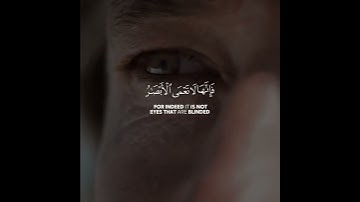 قرآن كريم بصوت القارئ طارق محمد تلاوة مؤثر ارح قلبك 💚🌿حالة واتس إسلامية/استوري انستغرام