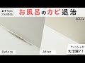 カビ取りシップ編_お風呂のカビ退治【#ダスキン】