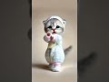 Baby cat bike dance #cute #dancingcat #cat #dancingpet #funny #catdancer #petdance