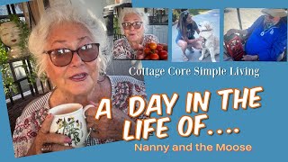 A Simple Day of Squirrels vs Moose / A Dog Performance and Nanny’s Rabbit Hole Stories