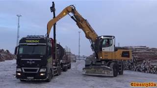 4K| Liebherr LH60 Unloading Timber Trucks