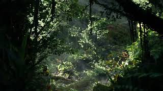 Camera movement test