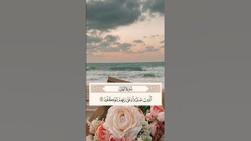 قرآن كريم #تلاوة خاشعه تطمئن لها القلوب # الذين  صبروا وعلى ربهم يتوكلون