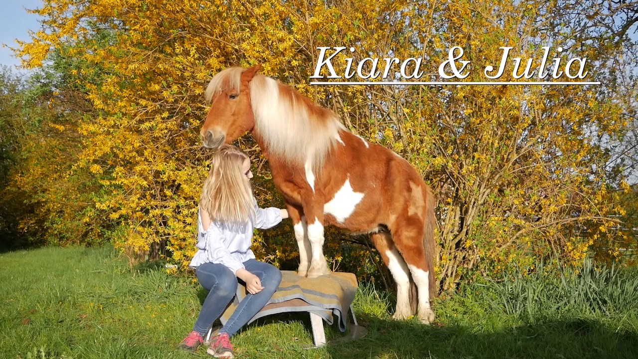 HKM Hobbyfilmcontest "Rescue to Freedom" v. L. Schreiber & J. Oberbauer