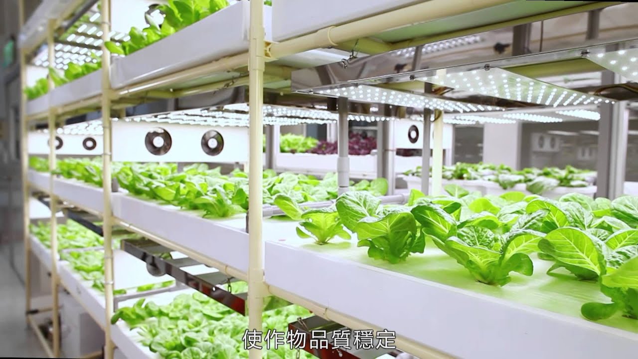 台達案例 植物工場 Youtube