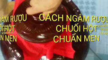 CÁCH NGÂM RƯỢU CHUỐI HỘT RỪNG CHUẨN MEN/món ăn dễ làm