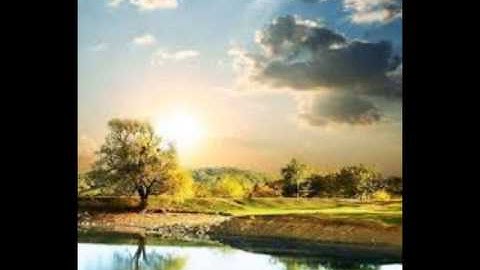 تلاوه خيالية للقارئ أنور عبد الحميد سورة   يس