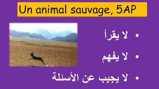 لفهم النص بالكامل ، عليك الإجابة على هذه الأسئلة ... Un animal sauvage