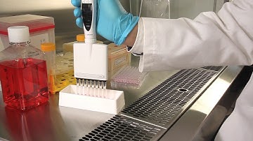 GrowDex pipetting with Sartorius Picus