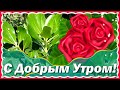 Доброе Утро Хорошего Дня! Самые Красивые Пожелания Доброго Утра! Музыкальная Открытка!