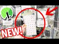 RUN to Dollar Tree for their *BRAND NEW* Peg System + GENIUS HACKS!