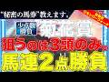 【菊花賞2026 予想】"秘密の馬券"教えます。