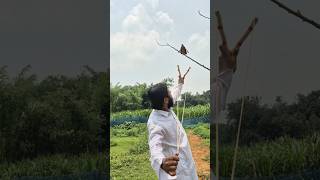 Bird Hunting 😃 #foryouシ #birds #viral