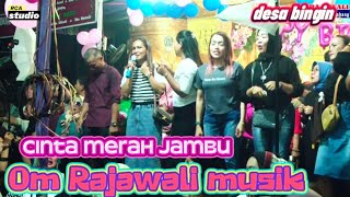 Cinta Merah Jambu  Om Rajawali Musik  Desa Bingin  Acara Bpk Asril   Rca Studio 