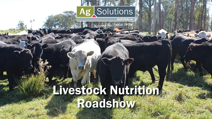 AgSolutions Livestock Nutrition Roadshow