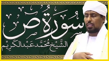 تلاوة خاشعة سورة ص تلاوة الشيخ محمد عبدالكريم