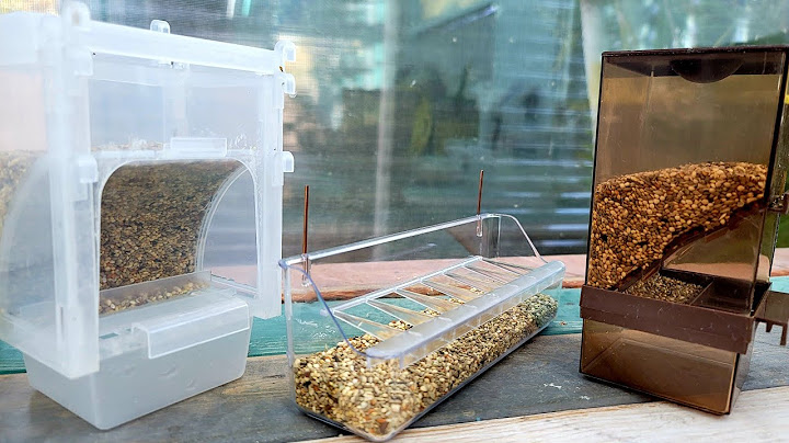 Las mejores TOLVAS o COMEDEROS PLASTICOS para las aves