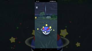 I caught shiny Duskull bro