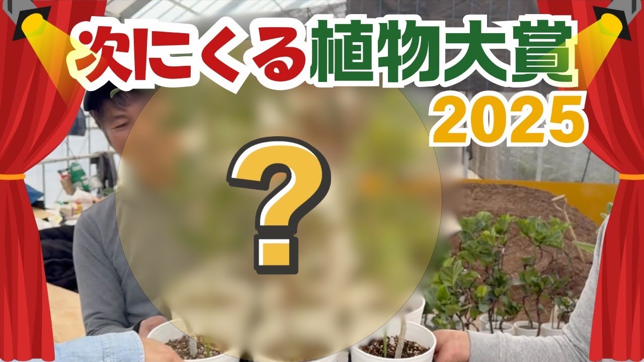 Next Plant Awards 2025 [Houseplants] - YouTube