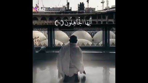 تلاوة رائعة للقارئ عبد العزيز الزهراني | سورة الزمر