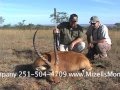 Lechwe Antelope Hunt in South Africa with The Hunting Company