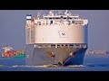 Amazing sunny 4k shipspotting on river schelde december 2023 with giant vehicle carrier