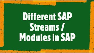 Sap Beginner Tutorial 3 Different Streams In Sap